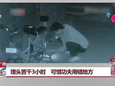 [视频]广东广州：埋头苦干3小时 可惜功夫用错地方