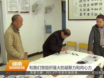 衡阳：依托两大基层平台 力推“党建+服务”