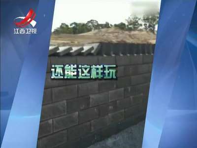 [视频]劳动中的快乐 把砖头玩成多米诺