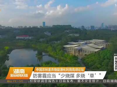 中国农林废弃物能源化利用高峰论坛 防雾霾应当“少烧煤 多烧‘草’”