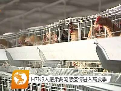 H7N9人感染禽流感疫情进入高发季