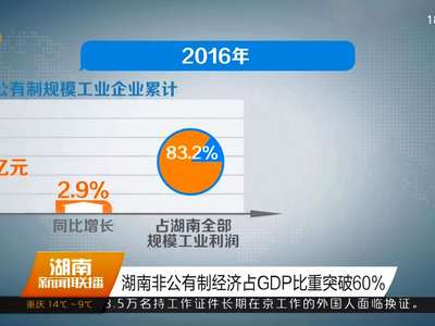 湖南非公有制经济占GDP比重突破60%
