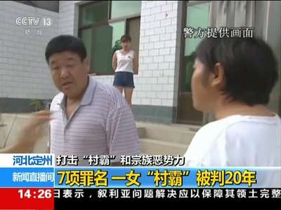 [视频]打击“村霸”和宗族恶势力