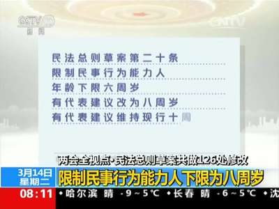 [视频]两会全视点·民法总则草案修改稿提请审议：民法总则草案共126处修改