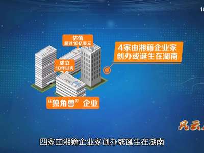 叶大清：跑回“马栏山”