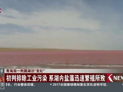 [视频]青海湖一附属湖泊“变红”：初判排除工业污染 系湖内盐藻迅速繁殖所致