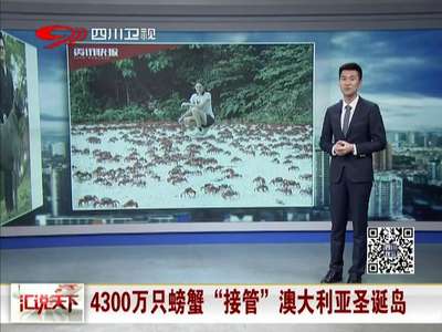 [视频]4300万只螃蟹“接管”澳大利亚圣诞岛