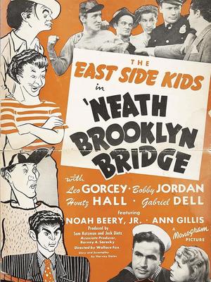 尼斯布鲁克林大桥