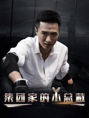 集团家的小总裁