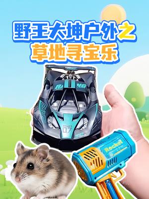 野王大坤户外之草地寻宝乐