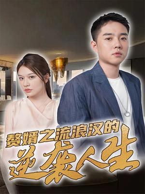 赘婿之流浪汉的逆袭人生