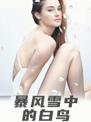 暴风雪中的白鸟