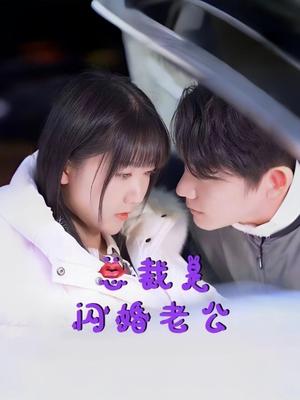 总裁是闪婚老公