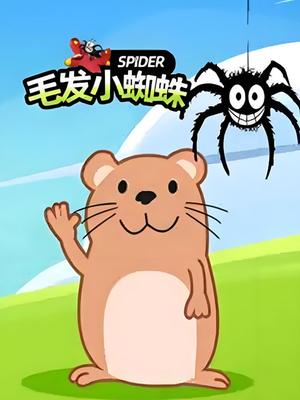 毛发小蜘蛛