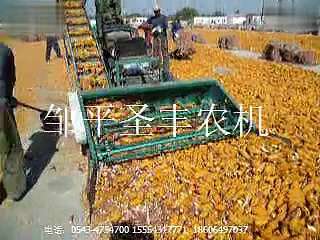 全自动上料玉米脱粒机 邹平县圣丰农业机械有限公司
