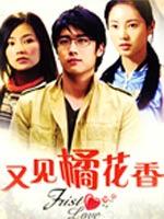 又见橘花香