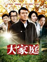 大家庭未删减版