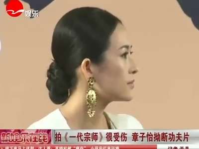 新娱乐在线 20130107期 拍《一代宗师》很受伤 章子怡拗断功夫片