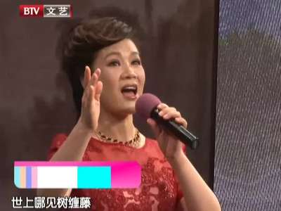  林峰 携上海宣传首张 国语专辑  为日本地震受灾