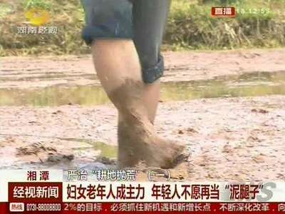 严治“耕地抛荒” 宁抛荒不种地 轻壮劳力不再愿意“守土”