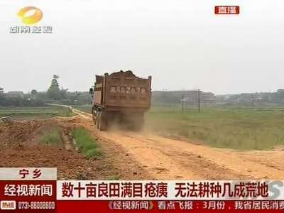 宁乡：数十亩良田满疮痍 无法耕种几成荒地