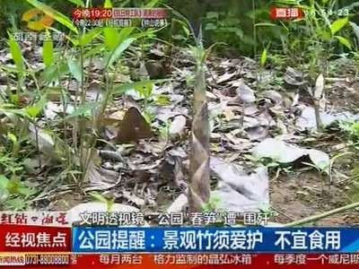 文明透视镜：公园“春笋”遭“围歼”