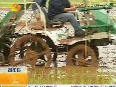 湖南力争三年内基本实现水稻机插秧