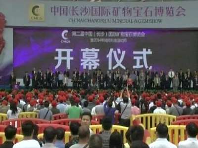 第二届中国（长沙）国际矿物宝石博览会开幕式