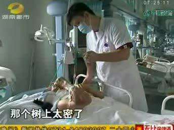 怀化：杨梅采摘旺季 近百人摔伤入院