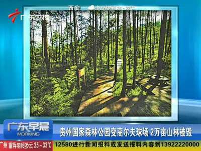 [视频]贵州森林公园变高尔夫球场 万亩山林被毁（图）