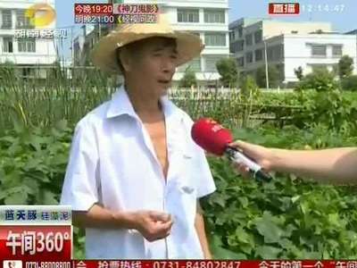 长沙：谁砸了我的西瓜 接连一周西瓜莫名被砸 瓜农看了好痛心