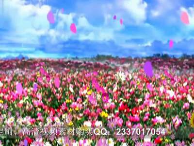 x-35鲜花的海洋穿暖花开花瓣满天飘演绎led大屏幕视频