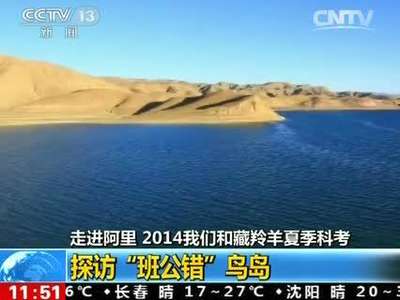 [视频]走进阿里 2014我们和藏羚羊夏季科考：探访“班公错”鸟岛 