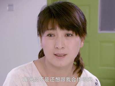 豆腐西施杨七巧分集剧情介绍(1-33集全)