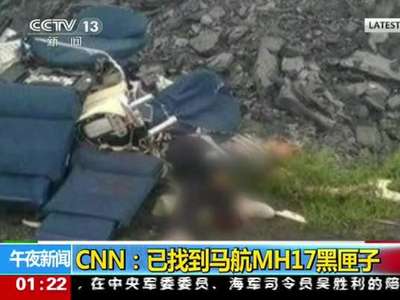 [视频]CNN称马航MH17坠毁客机黑匣子已找到