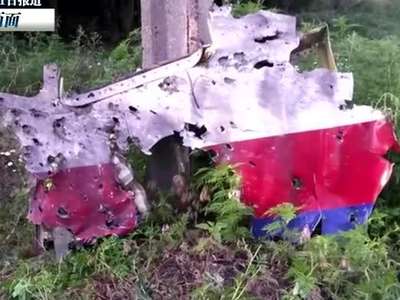 [视频]英媒：MH17机身弹孔符合被导弹击中效果