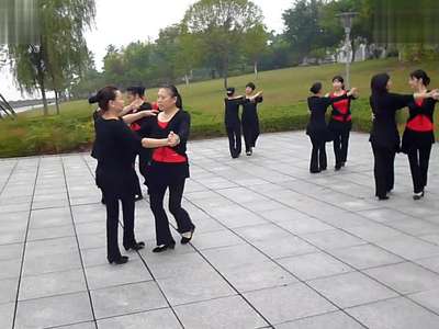 双人舞十四步久别的人