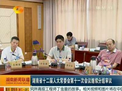 湖南省十二届人大常委会第十一次会议继续分组审议