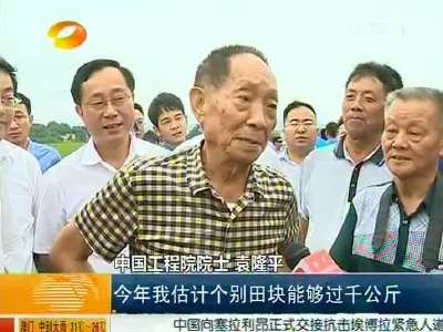 袁隆平：怀化溆浦超级杂交稻亩产千公斤目标有望实现