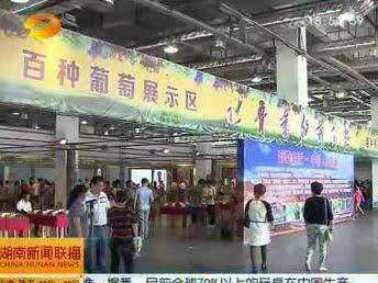 百余种吐鲁番葡萄首现长沙