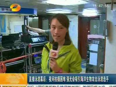 直播泳渡幕后：夜间拍摄困难 强光会吸引海洋生物攻击泳渡选手