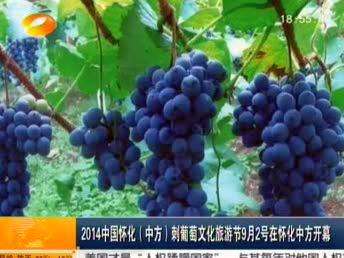 2014中国怀化（中方）刺葡萄文化旅游节9月2号在怀化中方开幕