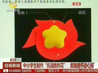 中小学生制作“抗战胜利花” 爱国情怀进心间