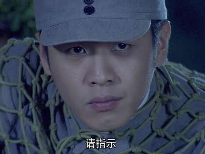 新雪豹24_新雪豹第24集「特战队以一敌十」剧