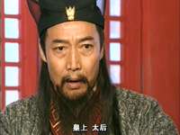 有情鸳鸯无情剑 14集