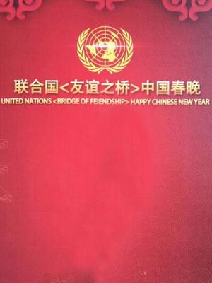 2015联合国友谊之桥中国春晚