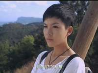 麻辣女兵高清版 33集