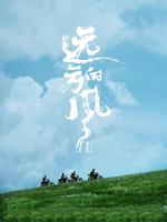 远方的风