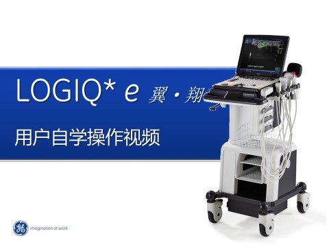 Logiq E 翼翔5.1.1Follow-up and Fusion  (类导航追踪技术)A1024