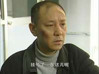 真相 20集